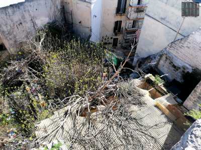 ...risulta ormai ridotto a una fitta e incolta macchia verde invasa da edera, alberi di fico, rifiuti di ogni tipo e strutture semidistrutte